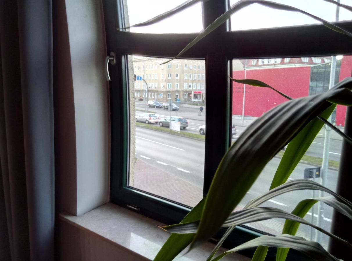 זיילונה גאורה Apartamenty Krzywe Okna מראה חיצוני תמונה